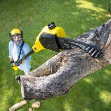 Best Pest Control for Lawns  in Nocatee, FL